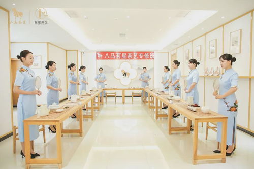 走進八馬茶業安溪總工廠 ,赴一場會回甘的約