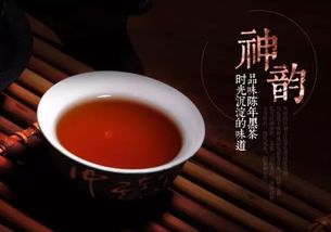 話春茶業(yè) 簡素如茶的幸福