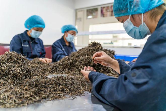 一年凈賺200多萬(wàn)!很多餐廳經(jīng)營(yíng)者都忽略了餐茶的威力