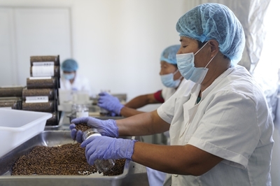 同濟(jì)高材生種田賣貨 5個(gè)月長(zhǎng)成蘇寧拼購(gòu)明星店